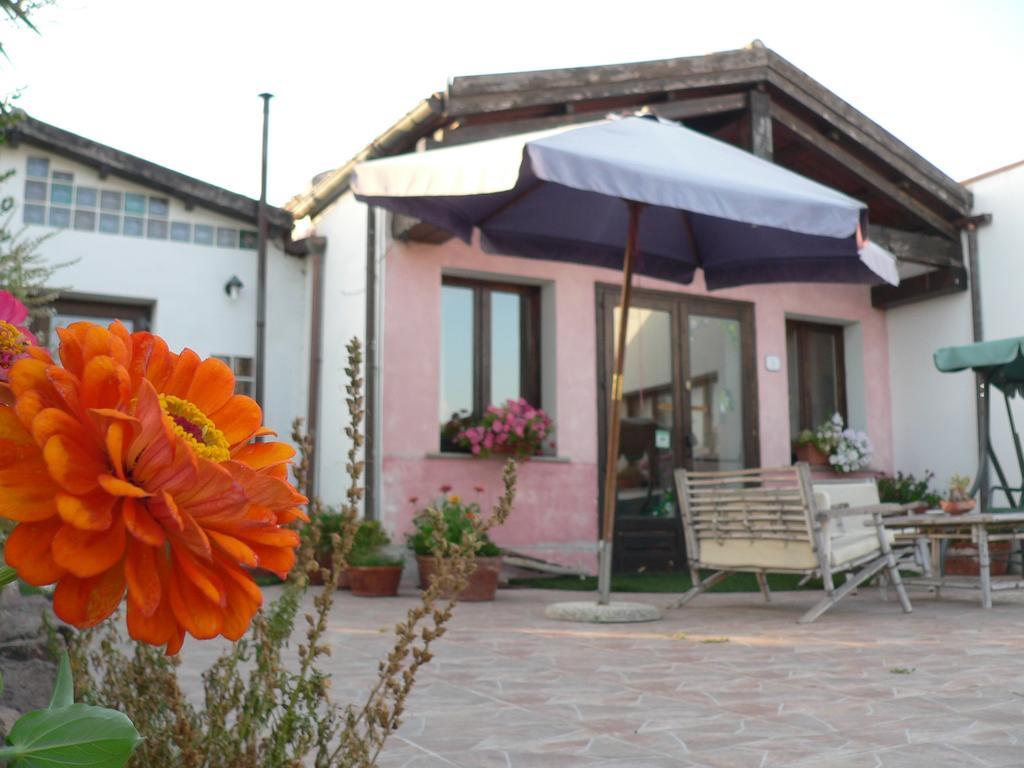 Agriturismo Sa Tanca Noa Tergu Zewnętrze zdjęcie