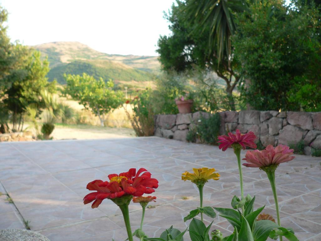 Agriturismo Sa Tanca Noa Tergu Zewnętrze zdjęcie
