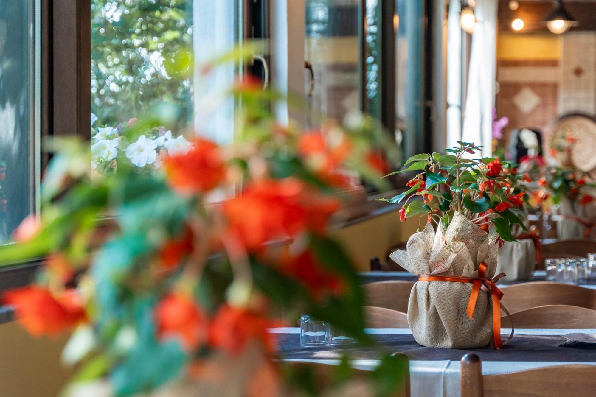 Agriturismo Sa Tanca Noa Tergu Zewnętrze zdjęcie