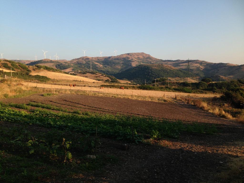 Agriturismo Sa Tanca Noa Tergu Zewnętrze zdjęcie