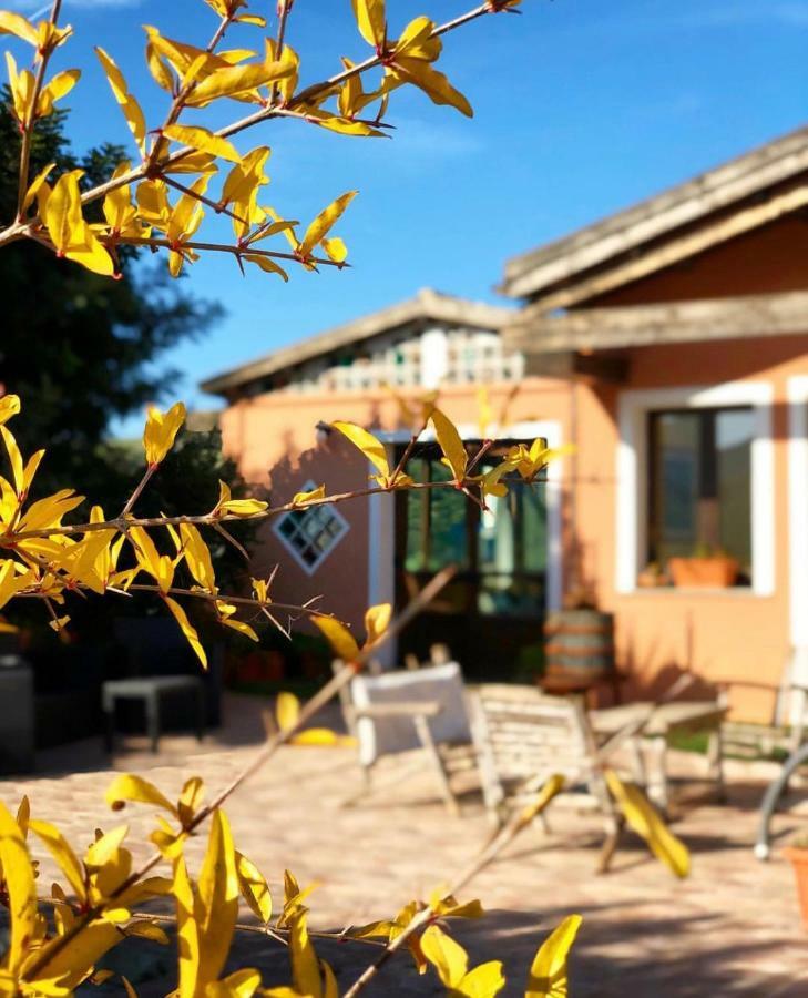 Agriturismo Sa Tanca Noa Tergu Zewnętrze zdjęcie